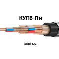 КУПВ-Пм от поставщика КабельСпецСтрой КУПВ-Пм от поставщика КабельСпецСтрой